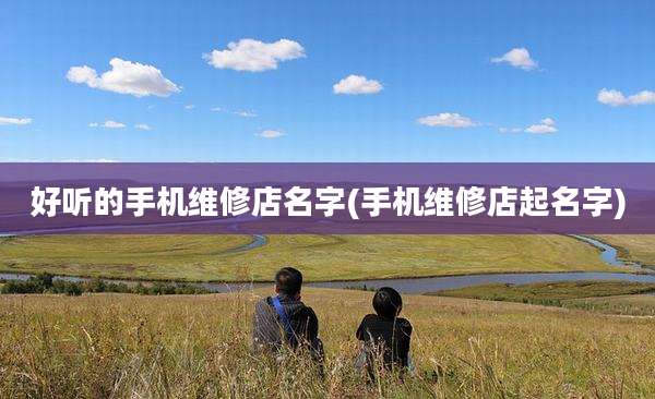 好听的手机维修店名字(手机维修店起名字)