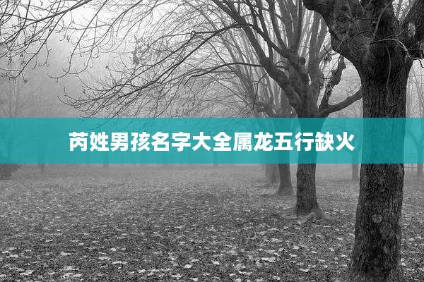 芮姓男孩名字大全属龙五行缺火
