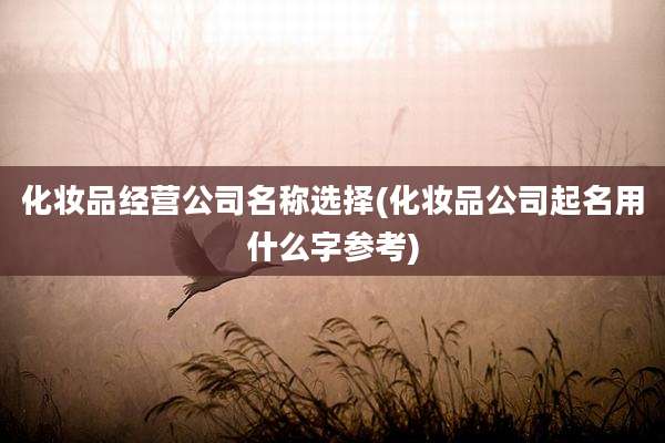 化妆品经营公司名称选择(化妆品公司起名用什么字参考)