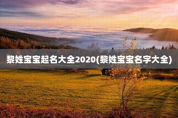 黎姓宝宝起名大全2020(黎姓宝宝名字大全)