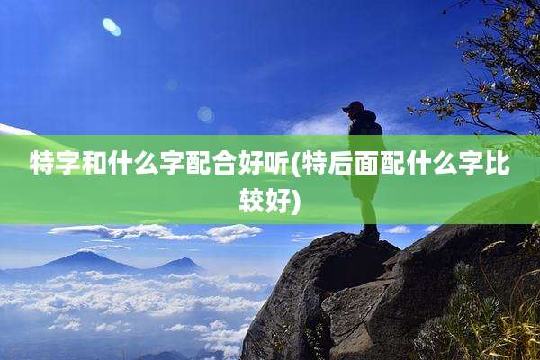 特字和什么字配合好听(特后面配什么字比较好)