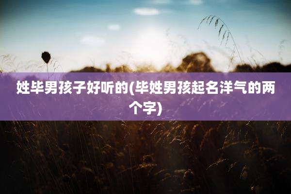 姓毕男孩子好听的(毕姓男孩起名洋气的两个字)