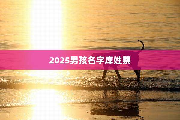 2025男孩名字库姓蔡