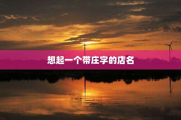 想起一个带庄字的店名