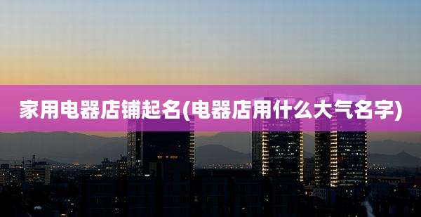 家用电器店铺起名(电器店用什么大气名字)