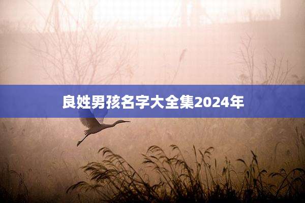 良姓男孩名字大全集2024年