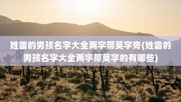 姓雷的男孩名字大全两字带莫字旁(姓雷的男孩名字大全两字带莫字的有哪些)