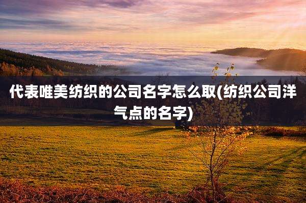 代表唯美纺织的公司名字怎么取(纺织公司洋气点的名字)