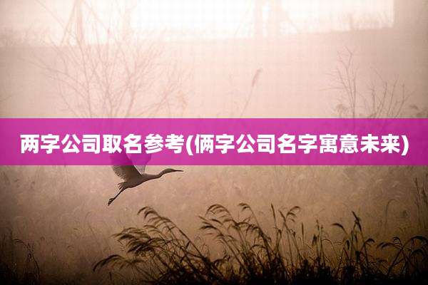 两字公司取名参考(俩字公司名字寓意未来)