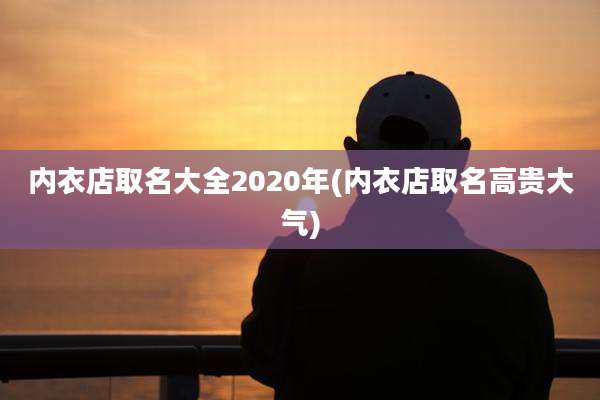 内衣店取名大全2020年(内衣店取名高贵大气)