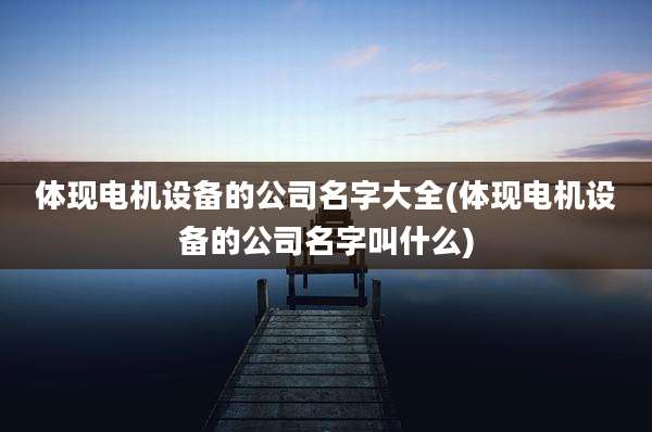 体现电机设备的公司名字大全(体现电机设备的公司名字叫什么)