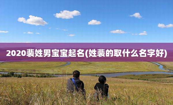 2020裴姓男宝宝起名(姓裴的取什么名字好)
