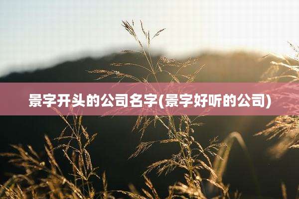 景字开头的公司名字(景字好听的公司)