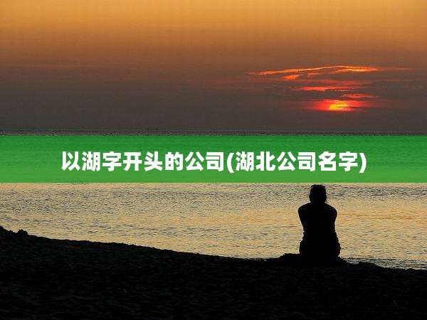 以湖字开头的公司(湖北公司名字)