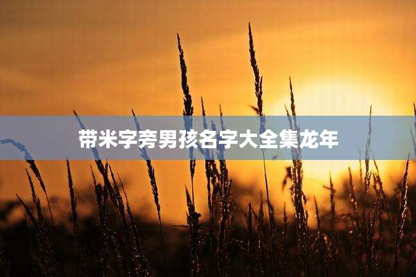 带米字旁男孩名字大全集龙年