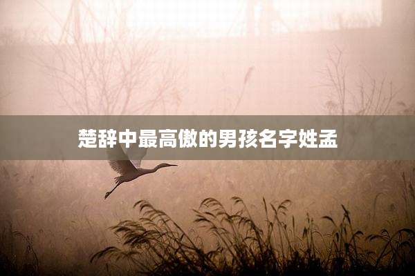 楚辞中最高傲的男孩名字姓孟