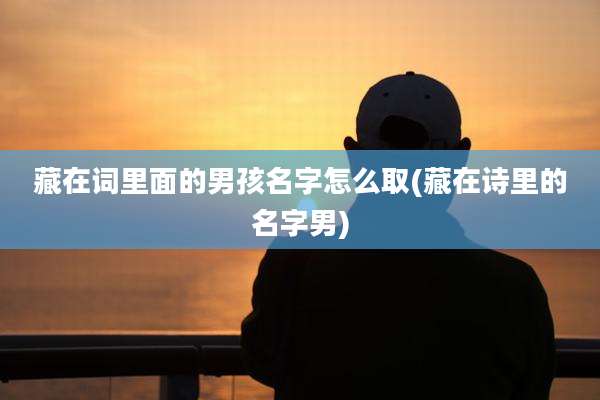 藏在词里面的男孩名字怎么取(藏在诗里的名字男)