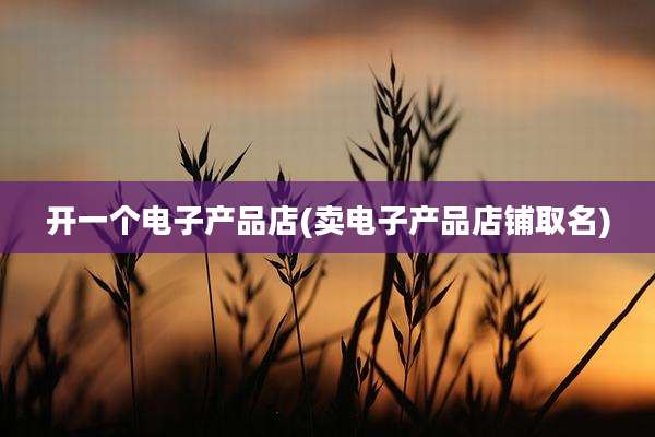 开一个电子产品店(卖电子产品店铺取名)