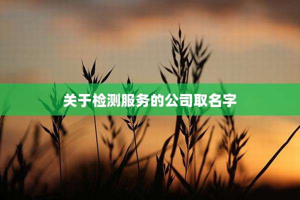 关于检测服务的公司取名字