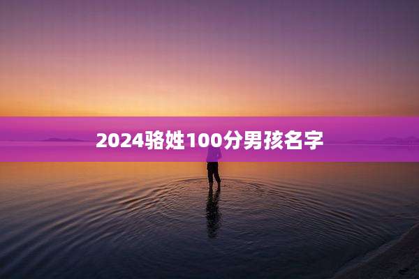 2024骆姓100分男孩名字