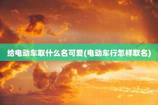 给电动车取什么名可爱(电动车行怎样取名)