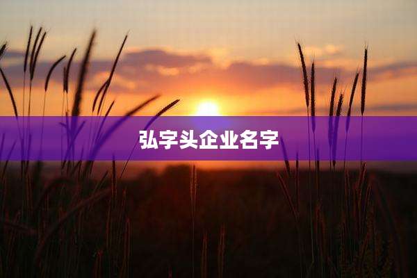 弘字头企业名字