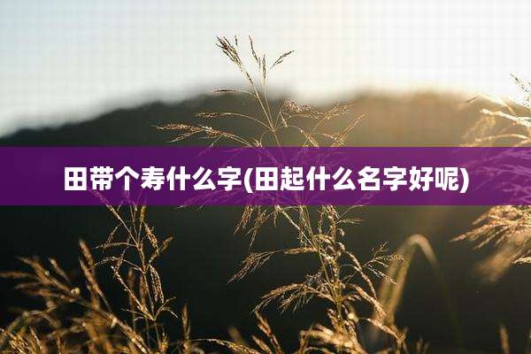 田带个寿什么字(田起什么名字好呢)
