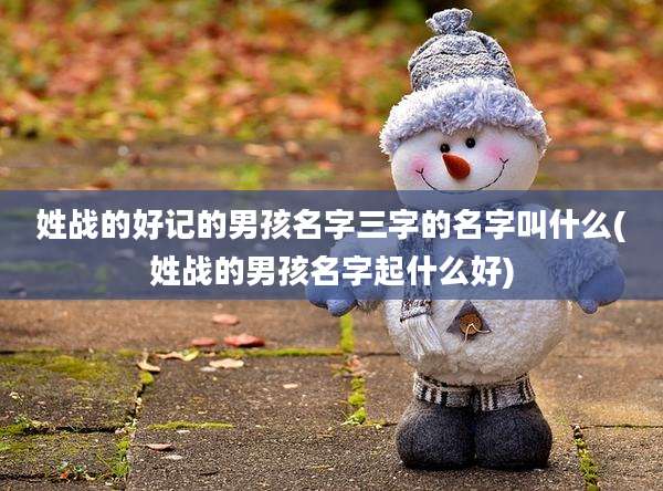 姓战的好记的男孩名字三字的名字叫什么(姓战的男孩名字起什么好)