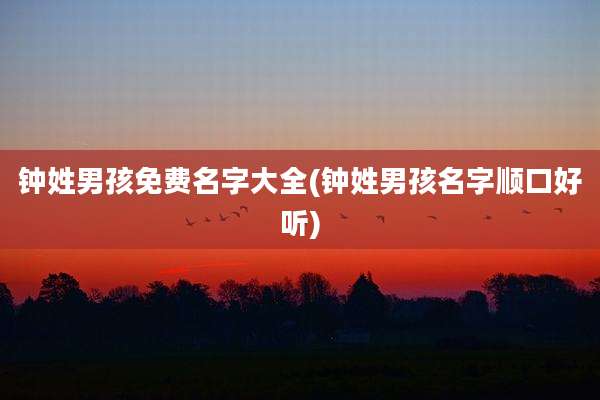 钟姓男孩免费名字大全(钟姓男孩名字顺口好听)