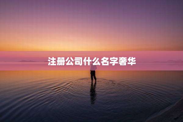 注册公司什么名字奢华