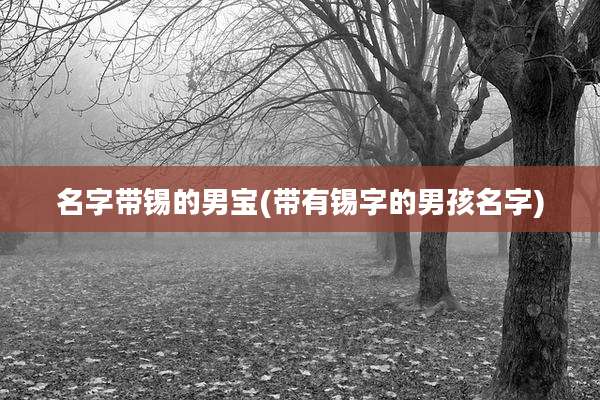 名字带锡的男宝(带有锡字的男孩名字)