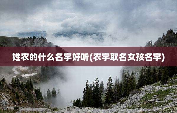 姓农的什么名字好听(农字取名女孩名字)