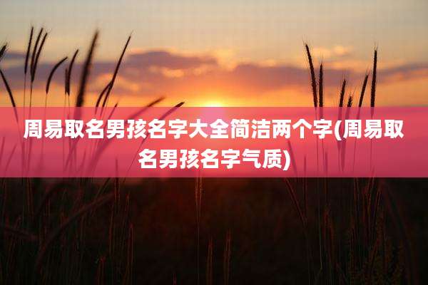 周易取名男孩名字大全简洁两个字(周易取名男孩名字气质)