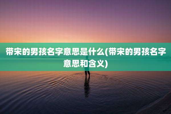 带宋的男孩名字意思是什么(带宋的男孩名字意思和含义)