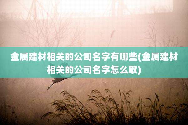 金属建材相关的公司名字有哪些(金属建材相关的公司名字怎么取)
