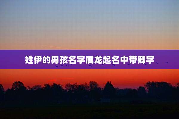 姓伊的男孩名字属龙起名中带卿字