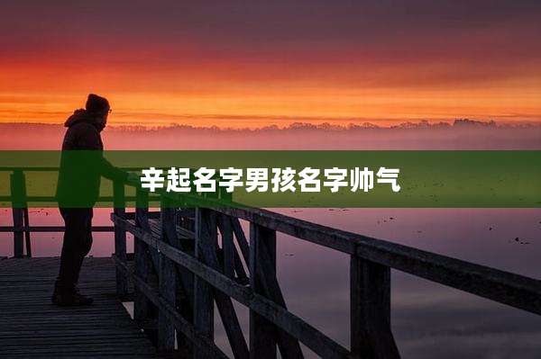 辛起名字男孩名字帅气