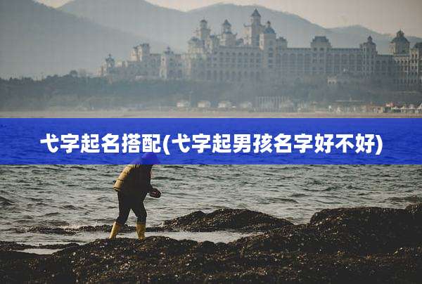 弋字起名搭配(弋字起男孩名字好不好)