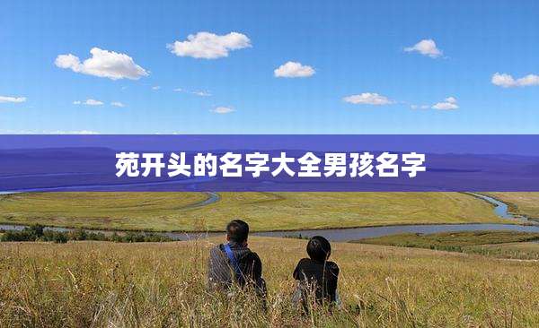 苑开头的名字大全男孩名字