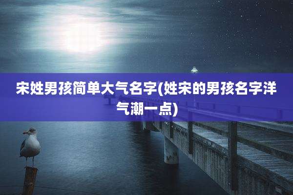 宋姓男孩简单大气名字(姓宋的男孩名字洋气潮一点)