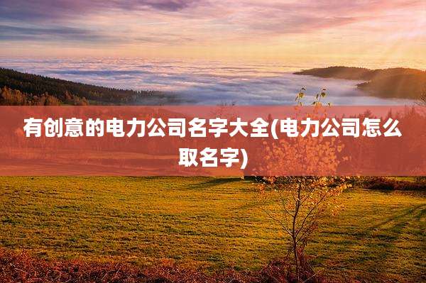 有创意的电力公司名字大全(电力公司怎么取名字)