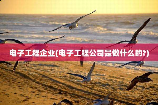 电子工程企业(电子工程公司是做什么的?)