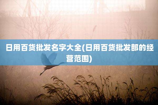 日用百货批发名字大全(日用百货批发部的经营范围)