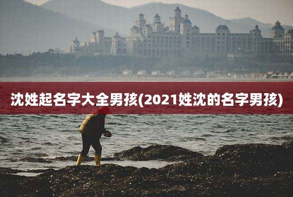 沈姓起名字大全男孩(2021姓沈的名字男孩)