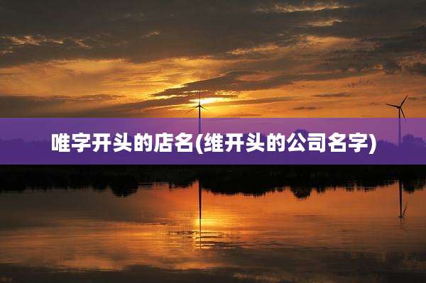 唯字开头的店名(维开头的公司名字)
