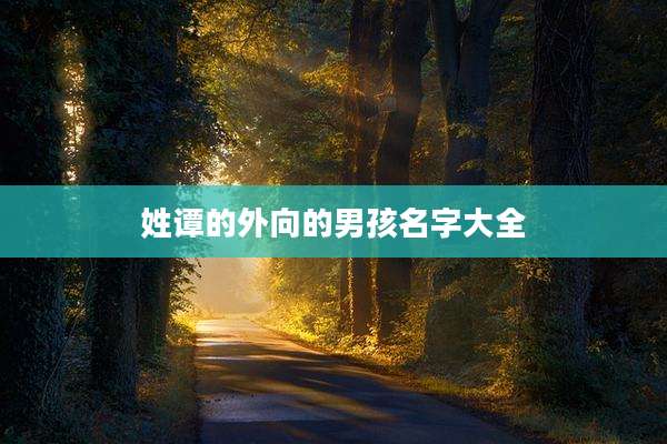 姓谭的外向的男孩名字大全