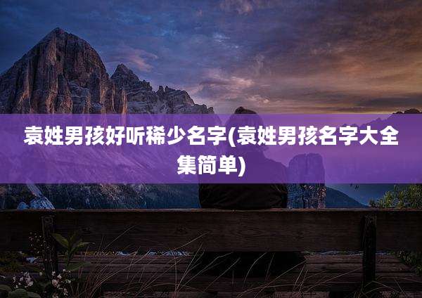 袁姓男孩好听稀少名字(袁姓男孩名字大全集简单)