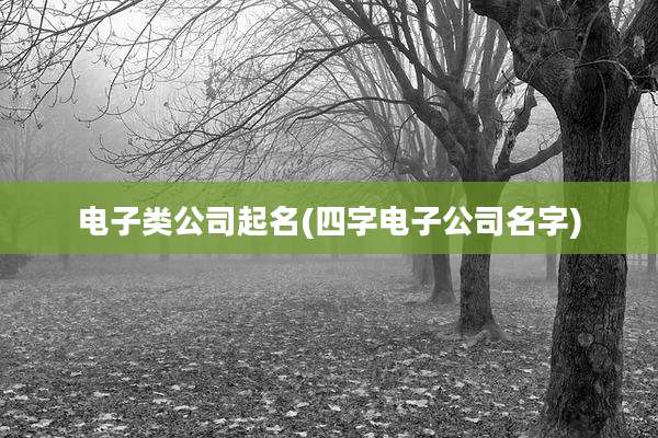 电子类公司起名(四字电子公司名字)