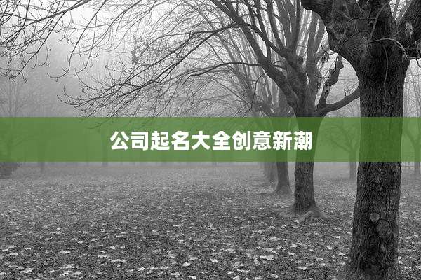 公司起名大全创意新潮