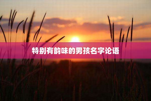 特别有韵味的男孩名字论语